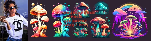 СК Сафоново