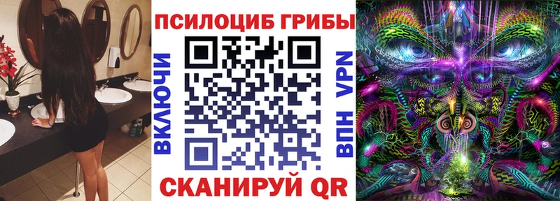 Псилоцибиновые грибы MAGIC MUSHROOMS  blacksprut рабочий сайт  Харовск  продажа наркотиков 